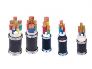 交联聚乙烯绝缘电力电缆2