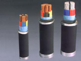 交联聚乙烯绝缘电力电缆3