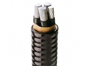 YJHLV 82交联聚乙烯绝缘铝合金带连锁铠装聚氯乙烯护套铝合金电力电缆