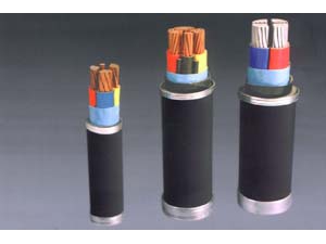 交联聚乙烯绝缘电力电缆